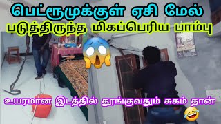 8அடி பாம்பு இரவில்😱 பெட்ரூமுக்குள் உயரமான இந்த வழியாகவும் வருவதைப் பாருங்கள்🐍 | Snake_Saga