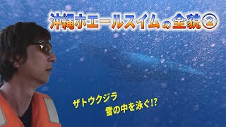 【ネイチャー映像でつづる世界海底旅行記】沖縄ホエールスイムツアー③　クジラ三昧、そして帰路【ダイビングのある旅】