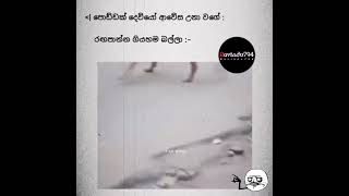 දන්නේ නැද්ද අද පොඩ්ඩක් ගත්තා 🤏🍻😹 | #shorts | #funnyvideo | #trending