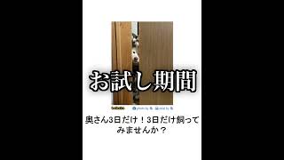 【神回】ボケてに感情込めてアフレコしてツッコんでみたらヤバかったｗｗｗｗｗｗｗｗｗｗｗｗ【第164弾】　#shorts