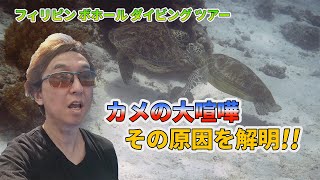 【ネイチャー映像でつづる世界海底旅行記】カメの喧嘩の原因を解明！　フィリピン・ボホール・ダイビング・ツアー③【ダイビングのある旅】