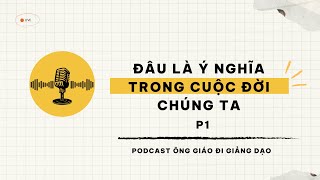 Đâu là Ý nghĩa trong Cuộc đời chúng ta (P1) | Thầy Trần Việt Quân