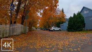 【4K】 Bike Ride around Tampere City Back Streets