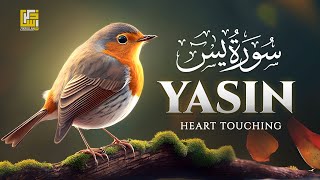 Ultimate Relaxing recitation of Surah Yasin (Yaseen) سورة يس | Zikrullah TV