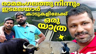 ഇടമലയാർ കാടുകളിലേക്ക് ഒരു യാത്ര |A Trip To The Edamalayar Forests