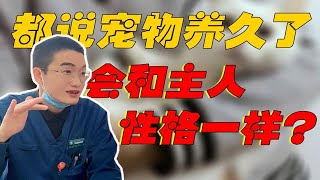 为什么说宠物的性格会随主人？从宠物看一个人的性格，你们觉得准不准？