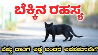 ಬೆಕ್ಕಿನ ರಹಸ್ಯ | ಬೆಕ್ಕು ದಾರಿಗೆ ಅಡ್ಡ ಬಂದರೆ ಅಪಶಕುನವೇ? | Myths regarding cats