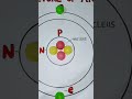 atom structure model bohr s atomic structure model science model shorts viral youtubeshorts