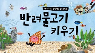 [반려세상] 과학적이고 감성적인 한 가족의 반려물고기 키우기 북트레일러