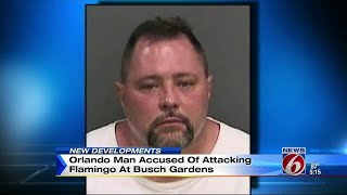 Orlando man accused of attacking flamingo at Busch Gardens