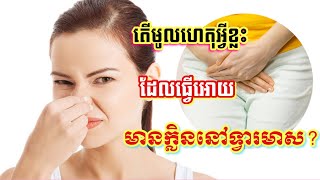 តើមូលហេតុអ្វីខ្លះដែលធ្វើអោយមានក្លិននៅទ្វារមាស ?