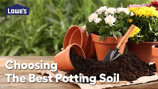 Choosing the Best Potting Soil: Video Guide
