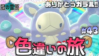 【ガラル色旅#43】色違いランクルスを粘りつつガラル\u0026ヒスイ卒業式!?【ポケモン剣盾】【ゆっくり実況】