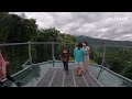 ทางเดินเหนือเรือนยอดไม้ canopy walk chiangmai thailand