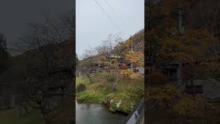 ♨️秘湯・名湯　岩手県花巻市「大沢温泉」の紅葉🍁🍁🍁🥹♨️ １１月１２日