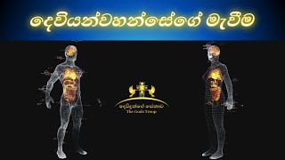 දෙවියන්වහන්සේගේ මැවීම වන මනුෂ්‍යයා  | Man is God's creation | Dewdunge Senawa