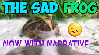 The Sad Frog Story..A Children's Story with a Happy Ending! Now with Narrative by myself!