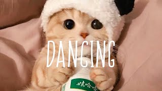 Playlist of songs that'll make you dance ~ Happy songs make you wanna dance | A.C Mewsic