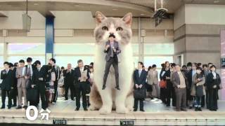 Japanese Cat Commercial CM