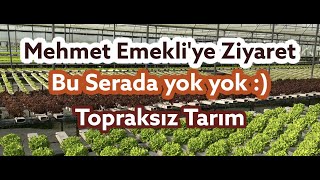 Topraksız Tarımda İşin Doğrusu !