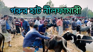 আপনার পছন্দের গরু পেয়ে যাবেন গরুর হাট নীলফামারী |পর্ব৮| বাজার দর