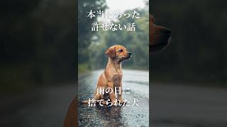 【実話】大雨の日に捨てられた犬 #shorts #捨て犬 #保護犬 #殺処分ゼロ #doglover