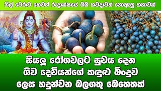 සියලූ රෝගවලට සුවය දෙන ශිව දෙවියන්ගේ කඳුළු බිංදුව