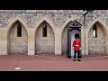 windsor castle live #windsorcastle