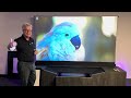 See the Screen Innovations ST Lift UST Motorized Projection Screen on the Epson LS800!