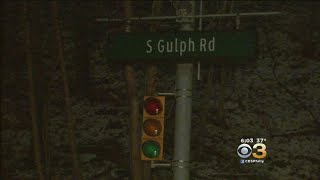Police: Driver Killed By Falling Tree During Nor’easter