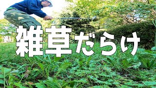 日本一管理が行き届いていない雑草だらけのパークゴルフ場　【札幌市手稲区：曙西緑地パークゴルフ場】