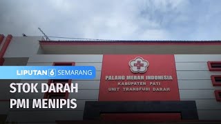 Yuk, Donor Darah, Stok Darah di PMI Pati Menipis | Liputan 6 Semarang