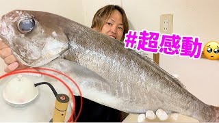 この食べ方好き♪〈メダイ〉をスモーク刺身！？にしてみた〈冷燻製〉（釣って魚捌き動画#62）