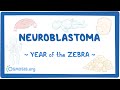 Neuroblastoma (Year of the Zebra 2024)