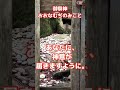 【到達至難神社 玉置神社　玉石社の御神体が光を放つワンシーン☆加工なし❗️】