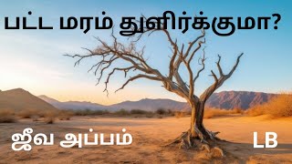 பட்ட மரம் துளிர்க்குமா?