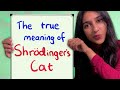 Most people don't get Schrodinger's Cat (including you?)