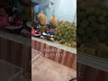 Cara membuka buah DURIAN