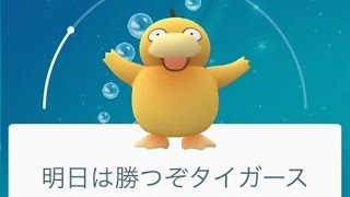 【阪神タイガース】ポケモンGOコダック大喜利がおもしろい【Twitter】