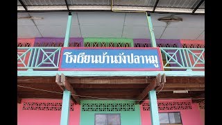 อาสาหาโรงเรียน  โรงเรียนบ้านวังปลาหมู