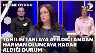 Tahılın tarlaya atıldığı andan harman oluncaya kadar aldığı durum | Kelime Oyunu