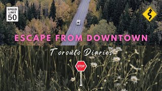 Escape from Downtown Toronto with Toronto Diaries | 15 mins | Beautiful Green Don Valley Drive