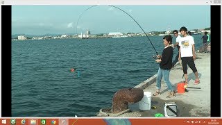 館山港ソウダガツオ爆釣！！　釣り始めてでも釣れました。2018年7月