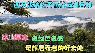 西双版纳热带雨林云端客栈，包吃包住旅居养老的好去处   西双版纳旅居租房全攻略