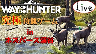 【新作狩りゲー】新たな世界でレッツハンティング！_#17【Way of the Hunter_Live】