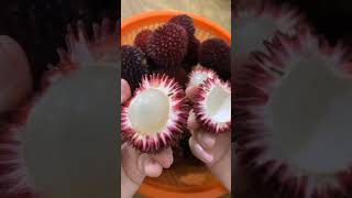 Pertama kali makan buah pulasan,rasanya manis#Shorts video# Buah-buahan# Fyppp