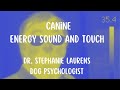 Canine Psychology Lecture on Energy Sound and Touch by Dr Stephanie Laurens AKA Xena East