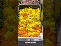 marigold in oman॥beautiful flowers shorts youtubeshorts oman