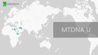 MTDNA U - DNAGENICS