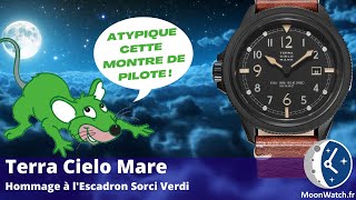 TERRA CIELO MARRE SORCI VERDI 🐁🕒🐭 LA MEILLEURE FIELDWATCH AUTOMATIQUE ? ✈️😈🔥